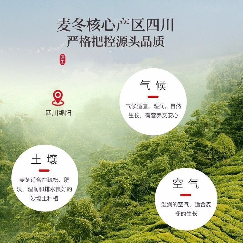正宗麥冬 四川特產 麥冬增強免疫力 益胃生津 養陰潤肺 清心除煩 潤腸通便 無硫 - Image 4