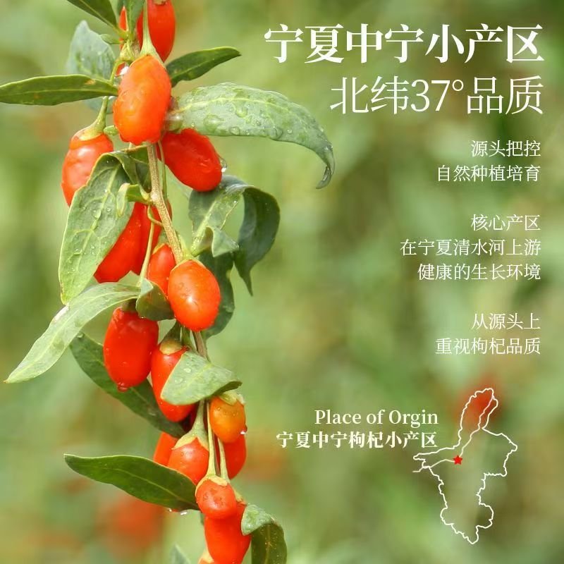 正宗紅枸杞 寧夏特產 大果顆粒飽滿 滋補肝腎 益精明目 無硫 - Image 4