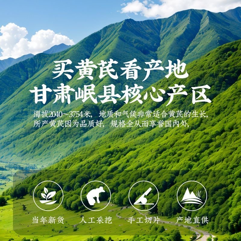 甘肅野生黃芪 岷縣特產 氣血不足 增強免疫力 固表止汗 益氣活血 利水消腫 無硫 - Image 4